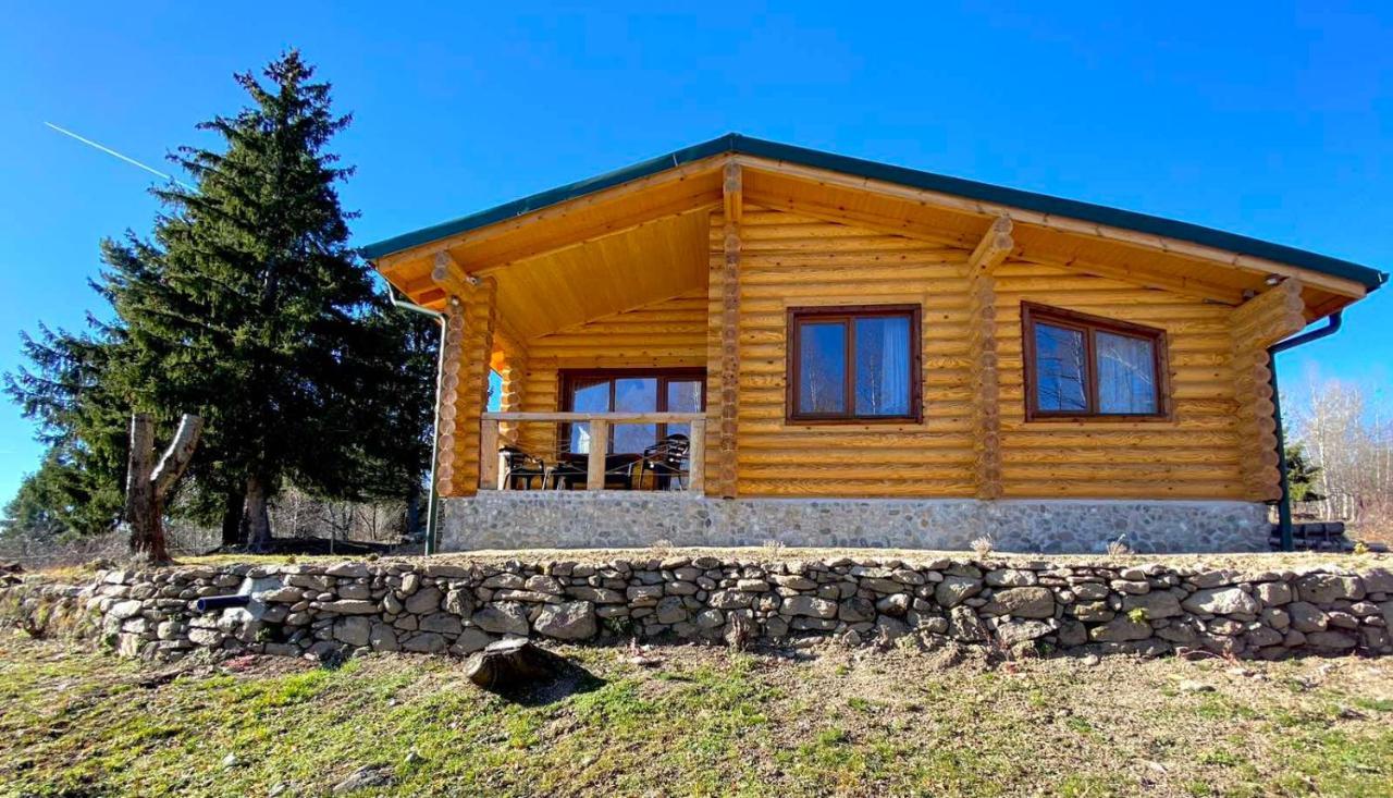 Вила Брезите Pamporovo Eksteriør billede