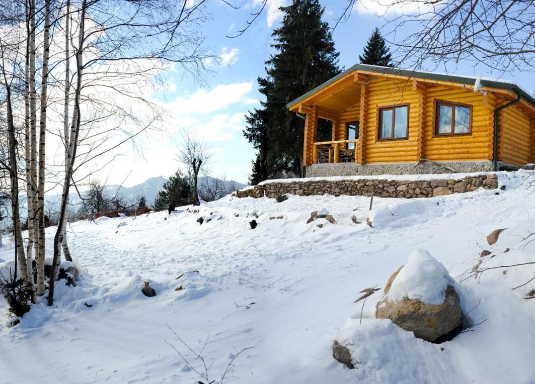 Вила Брезите Pamporovo Eksteriør billede