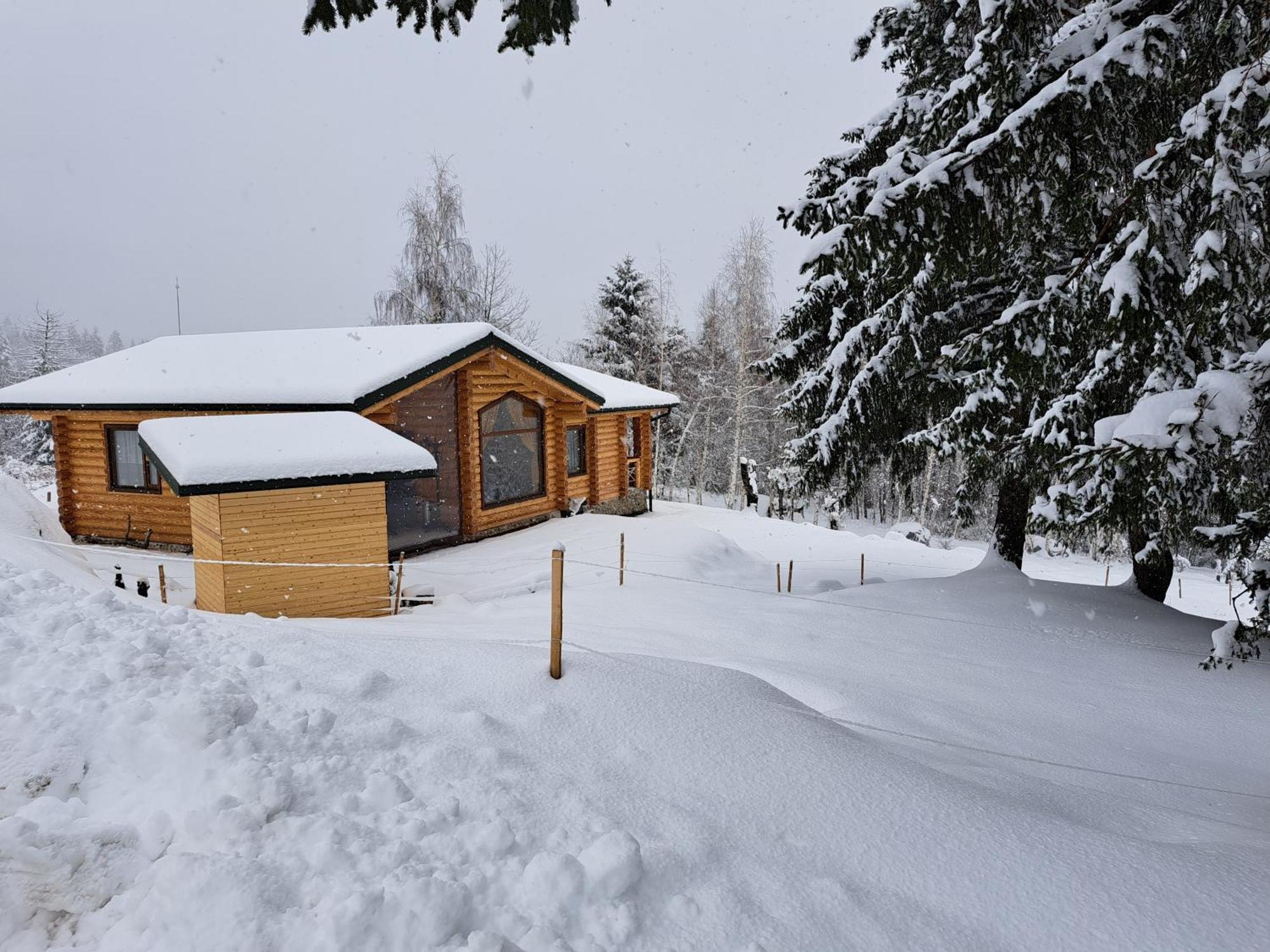 Вила Брезите Pamporovo Eksteriør billede